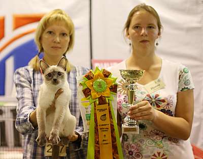 �������� ����� 20-21 �������� 2014 WCF-�����  8-238-169A1474 copy.jpg